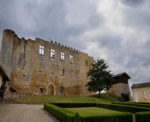 Château de Fargues — photo 2