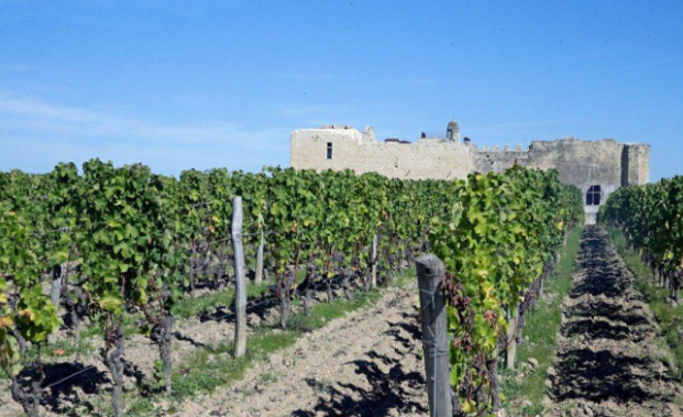 Château de Fargues - Sauternes