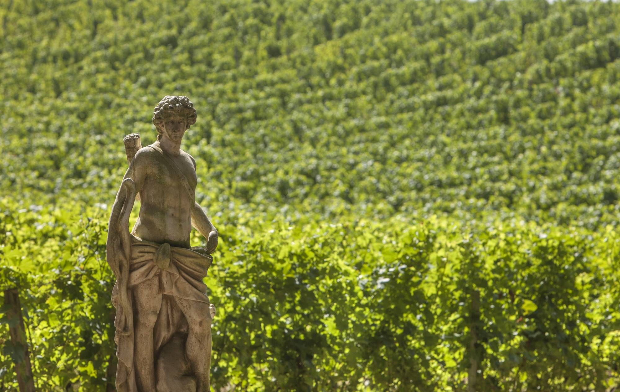 FRONSAC