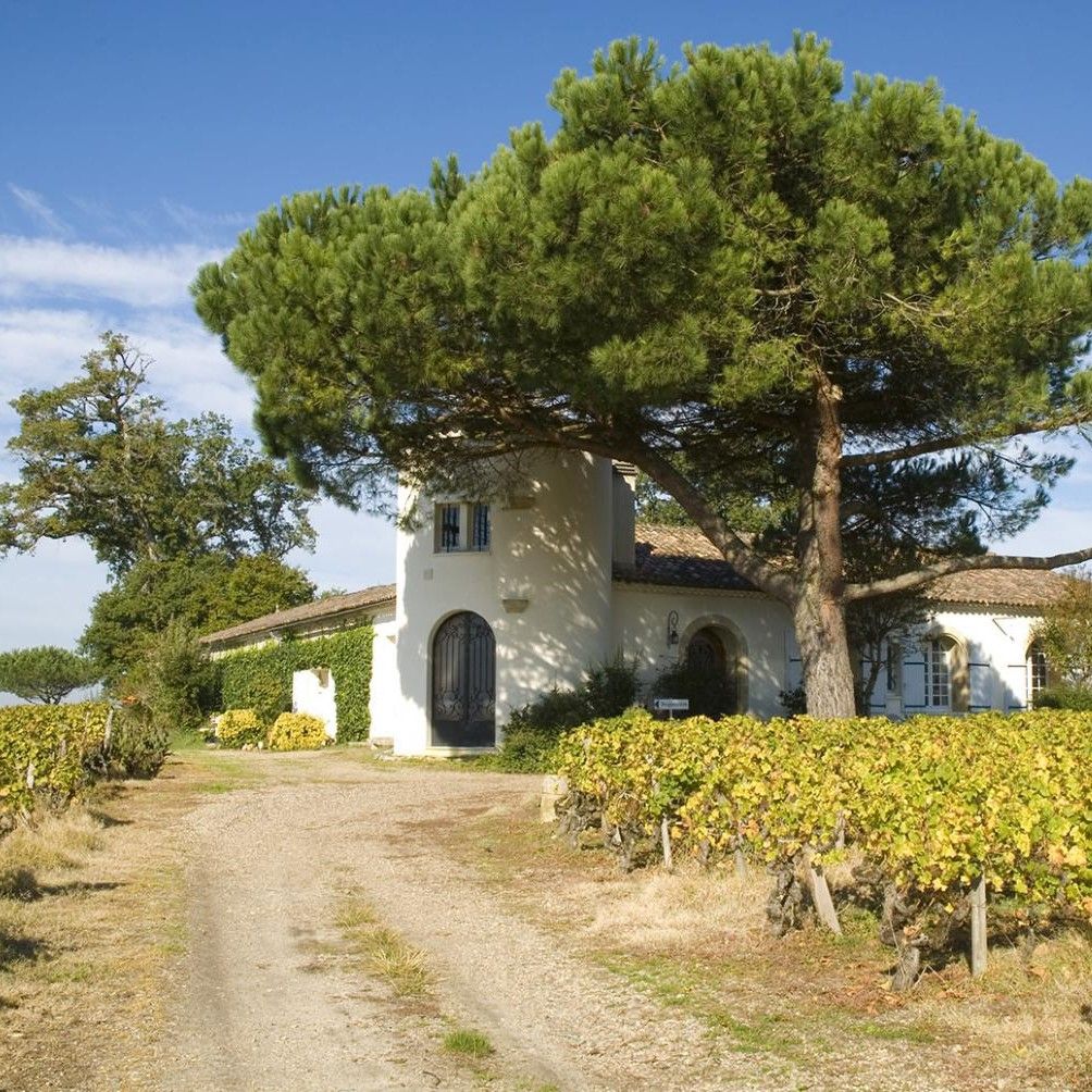 Château Lamothe Despujols - Sauternes