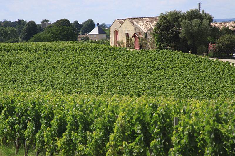 Château Haut Veyrac