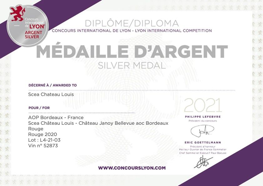 Janoy Bellevue 2020 Bdx Rouge - Lyon Argent