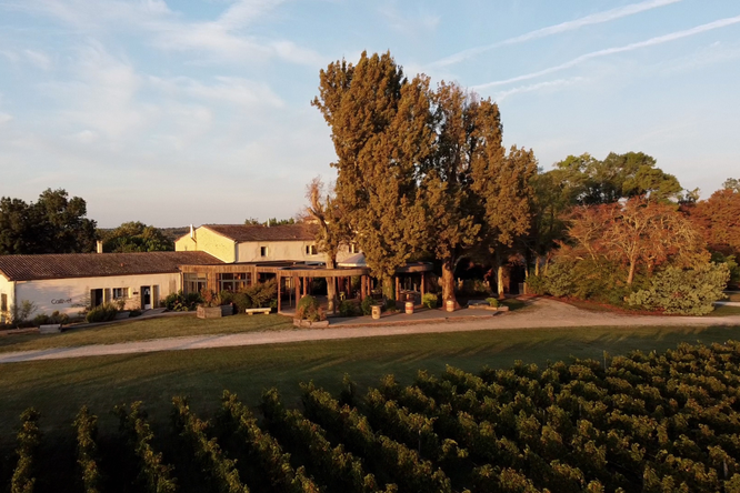 Château Caillivet — photo 2