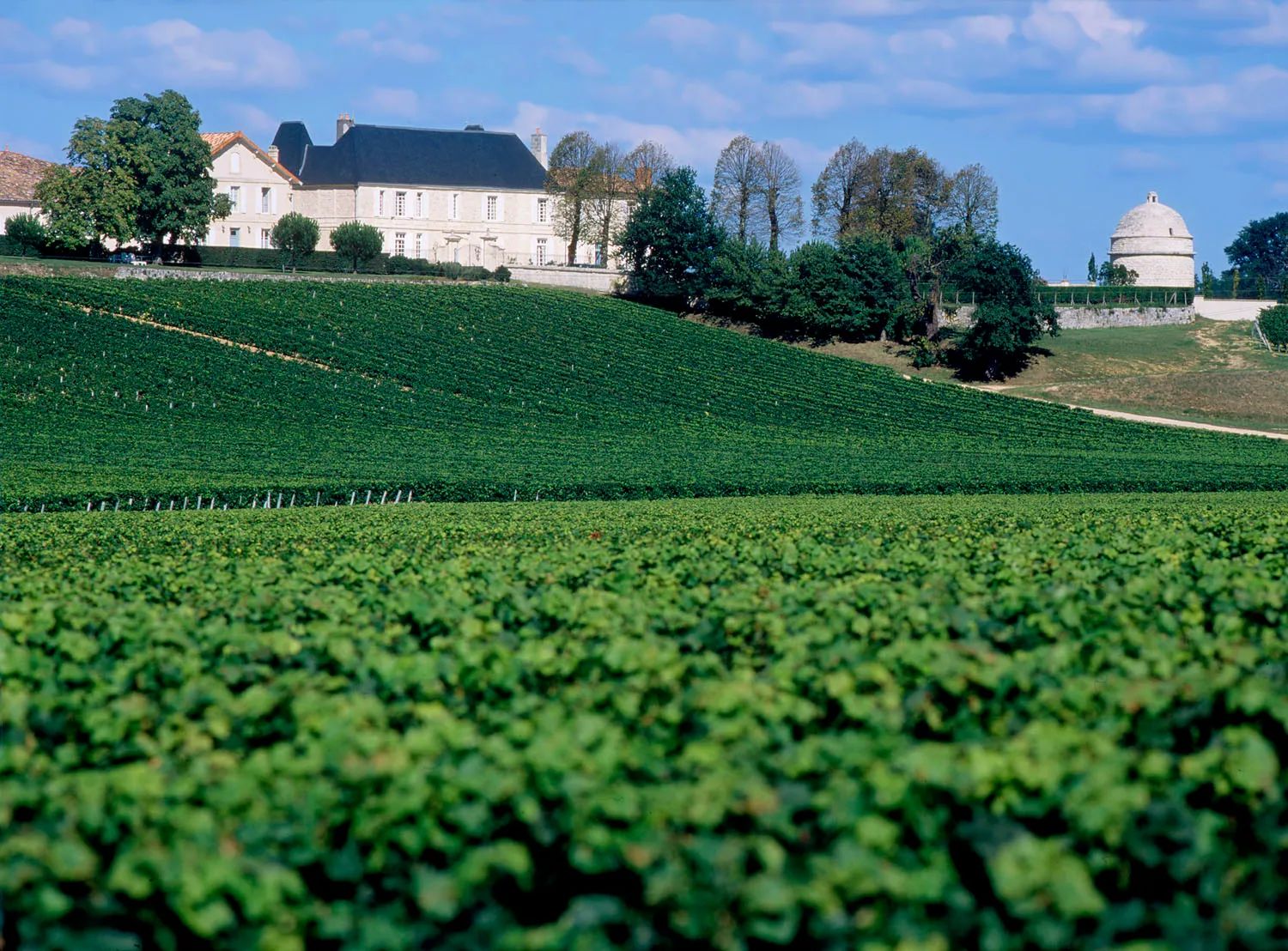 Château du Bousquet - Côtes de Bourg