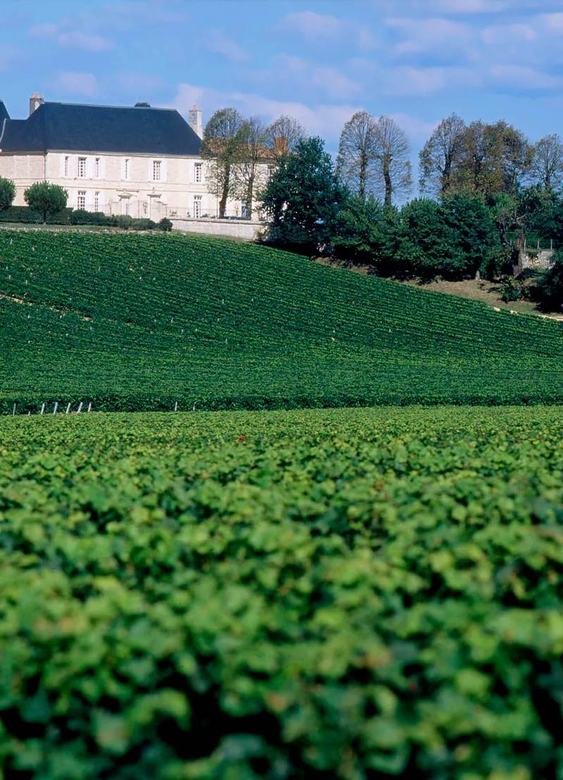 Photo — Château du Bousquet