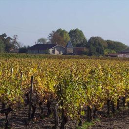 Château de Rivereau - Côtes de Bourg