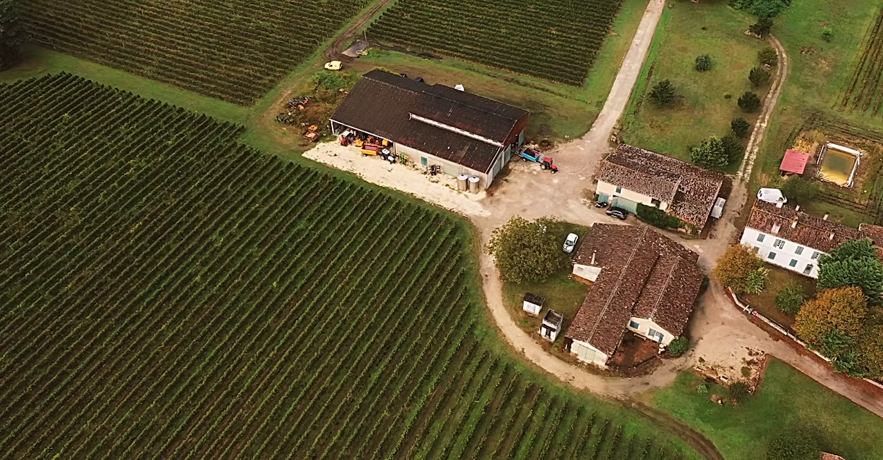 Domaine de Lionne - Graves