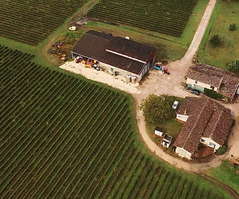 Domaine de Lionne - Graves