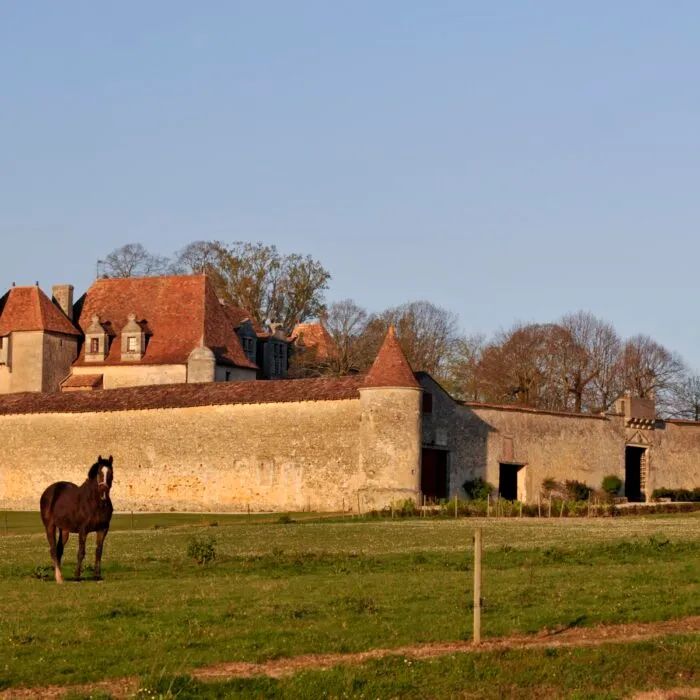 GRAND VERDUS BORDEAUX SUPERIEUR