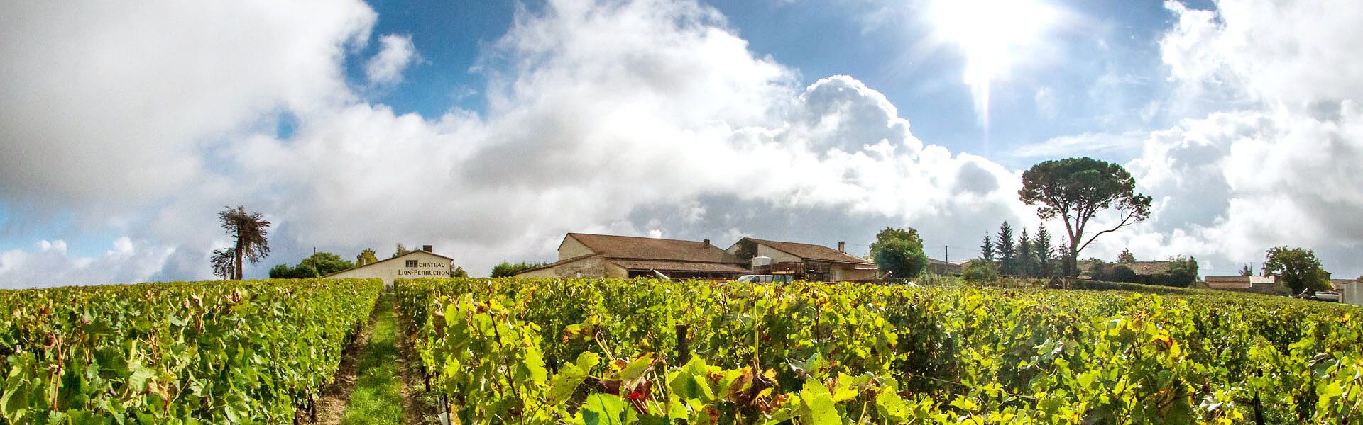 Château Lion Perruchon - Lussac-Saint-Émilion