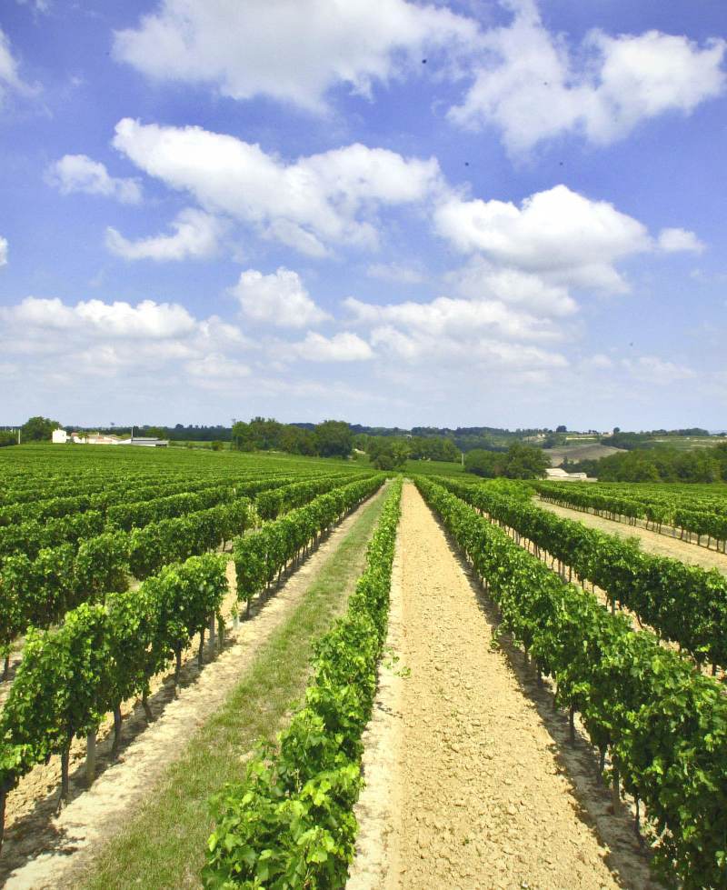 Château le Tros