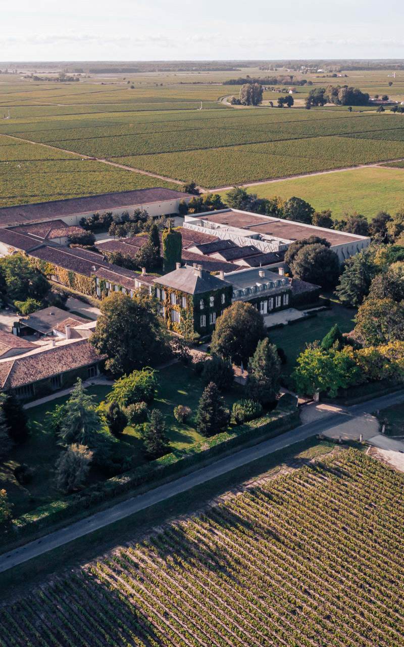 Château Talbot - Saint-Julien