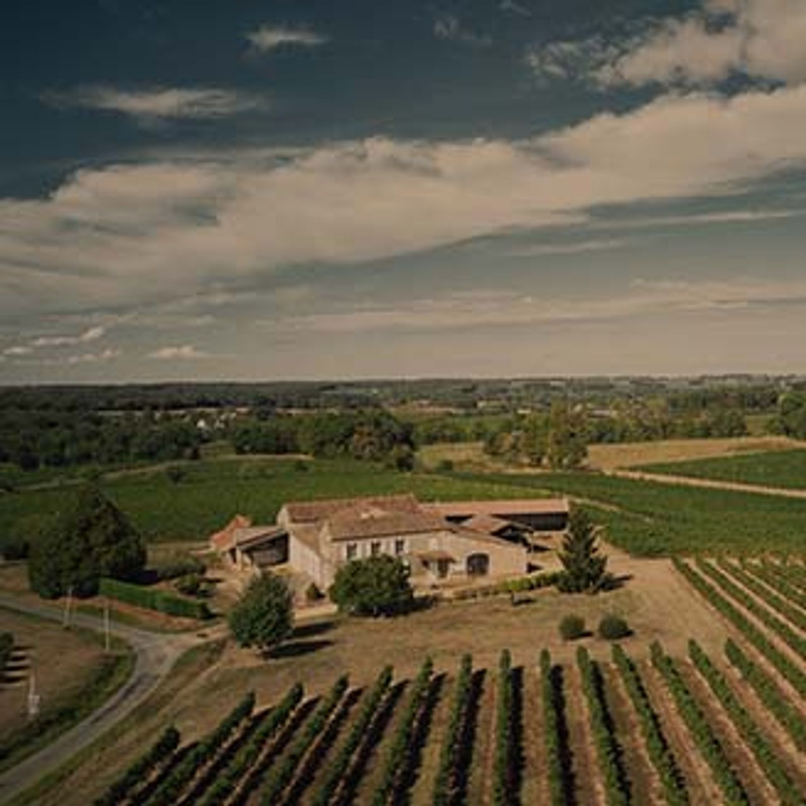Château Talmont — photo 4