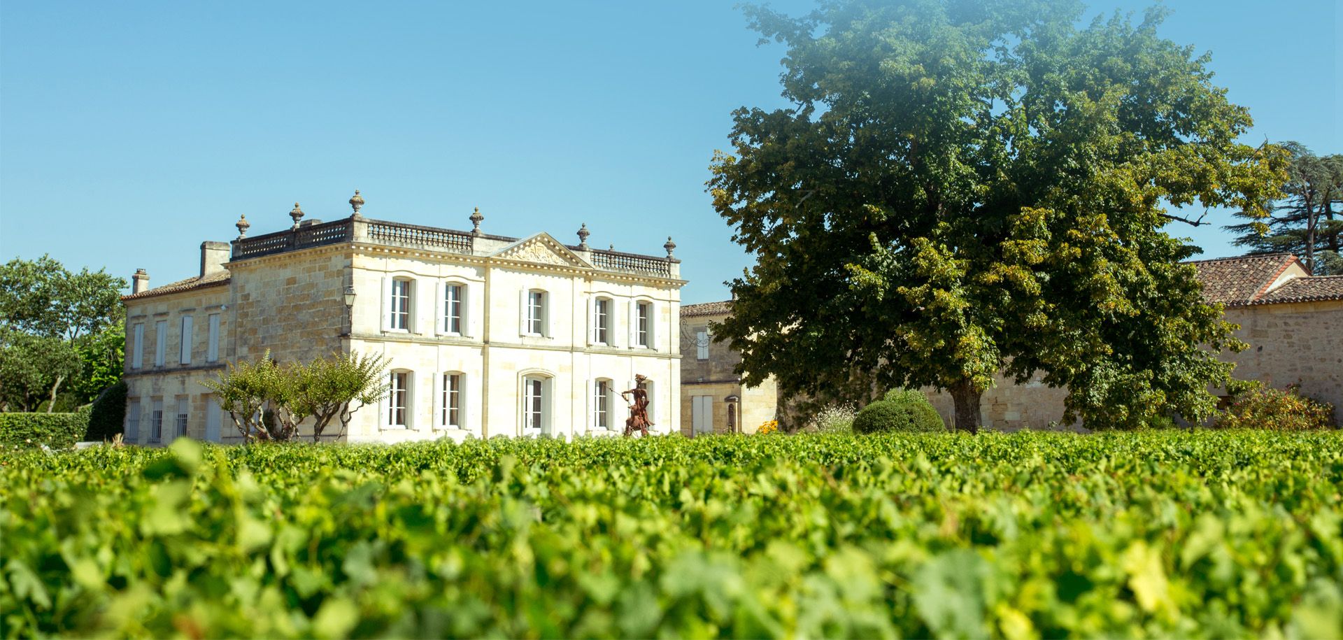 Château la Croix Toulifaut - Pomerol