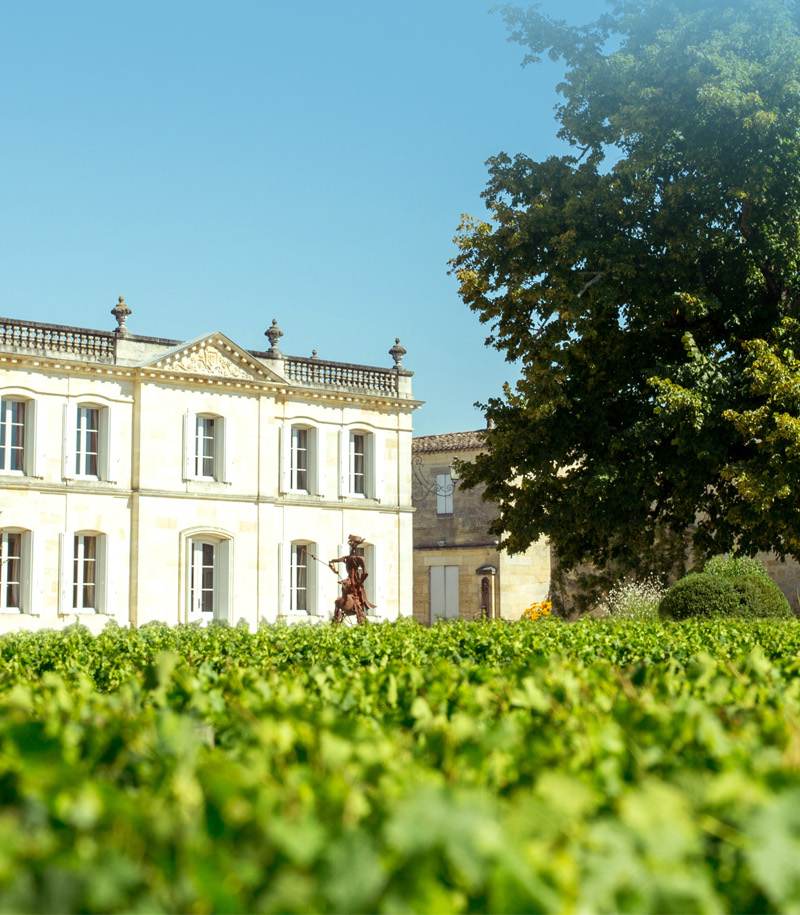 Château la Croix Toulifaut — photo principale
