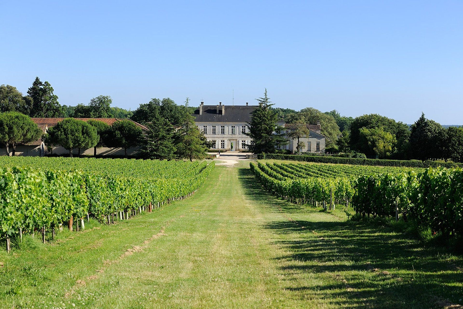 Château de Barbe - Côtes de Bourg