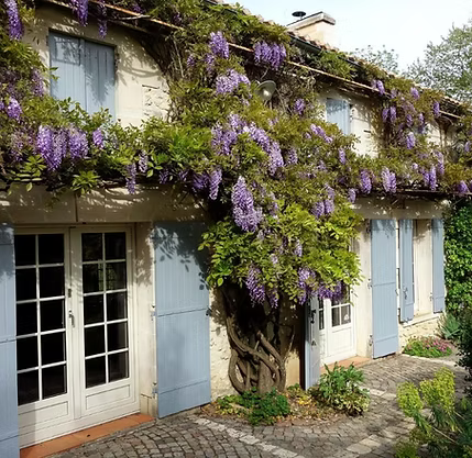 les jardins de camelot.jpg