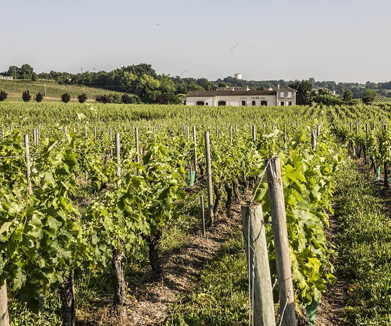 Clos Toumalin — photo principale