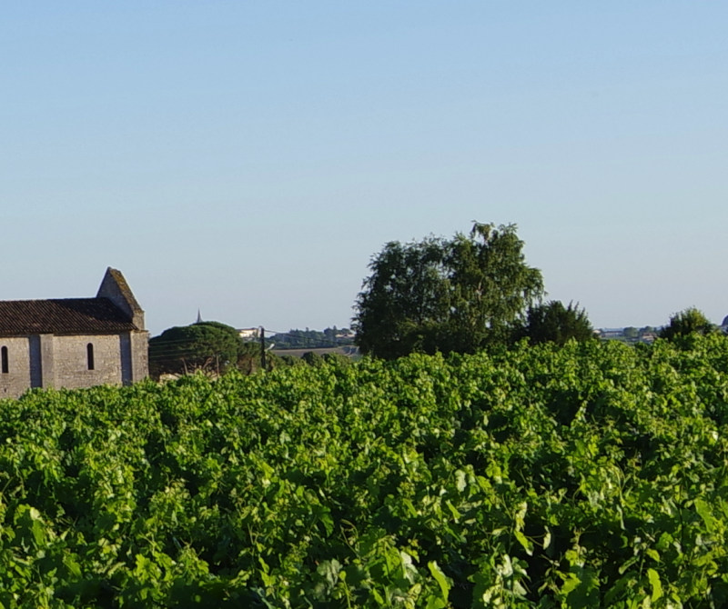 Vignobles Berrouet
