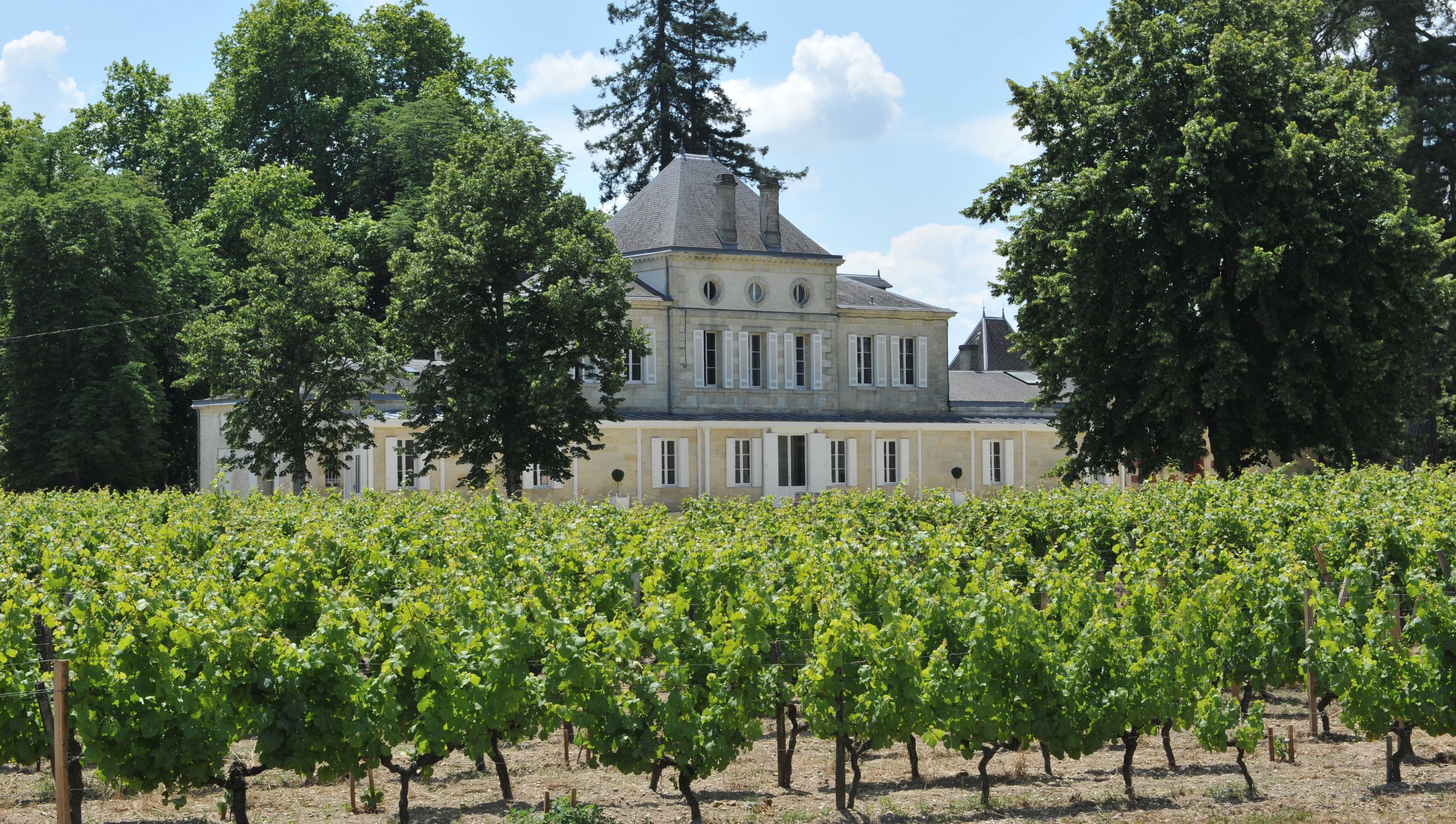 Château Haut Nouchet - Pessac-Léognan