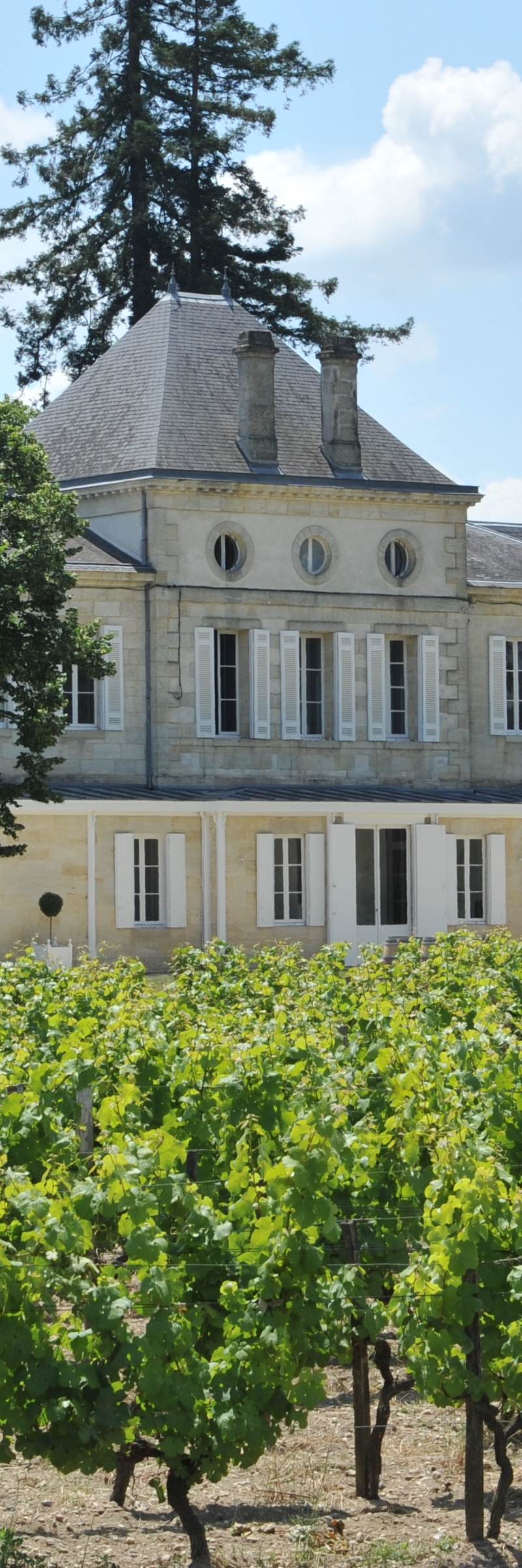 Château Haut Nouchet — photo principale