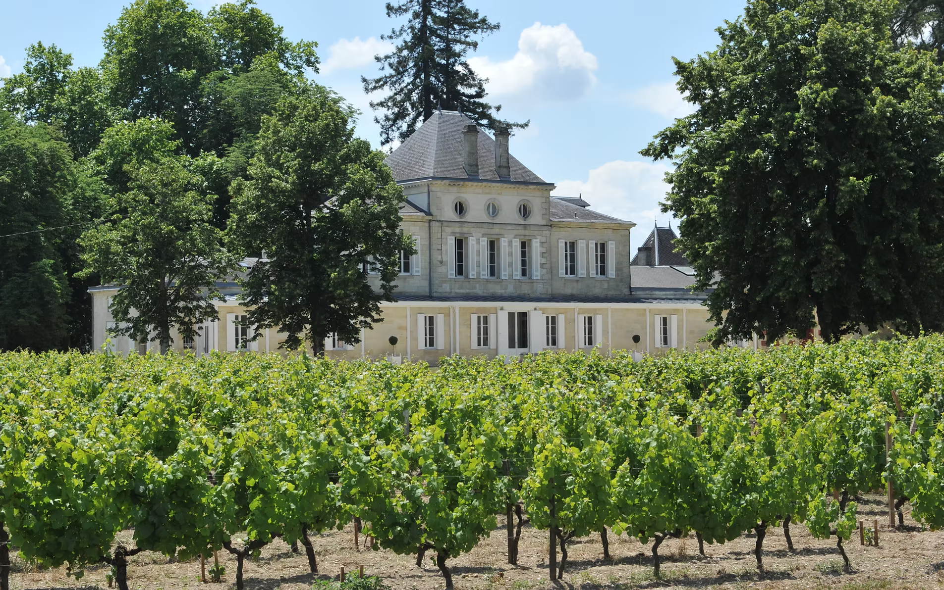 Château Haut Nouchet — photo 5