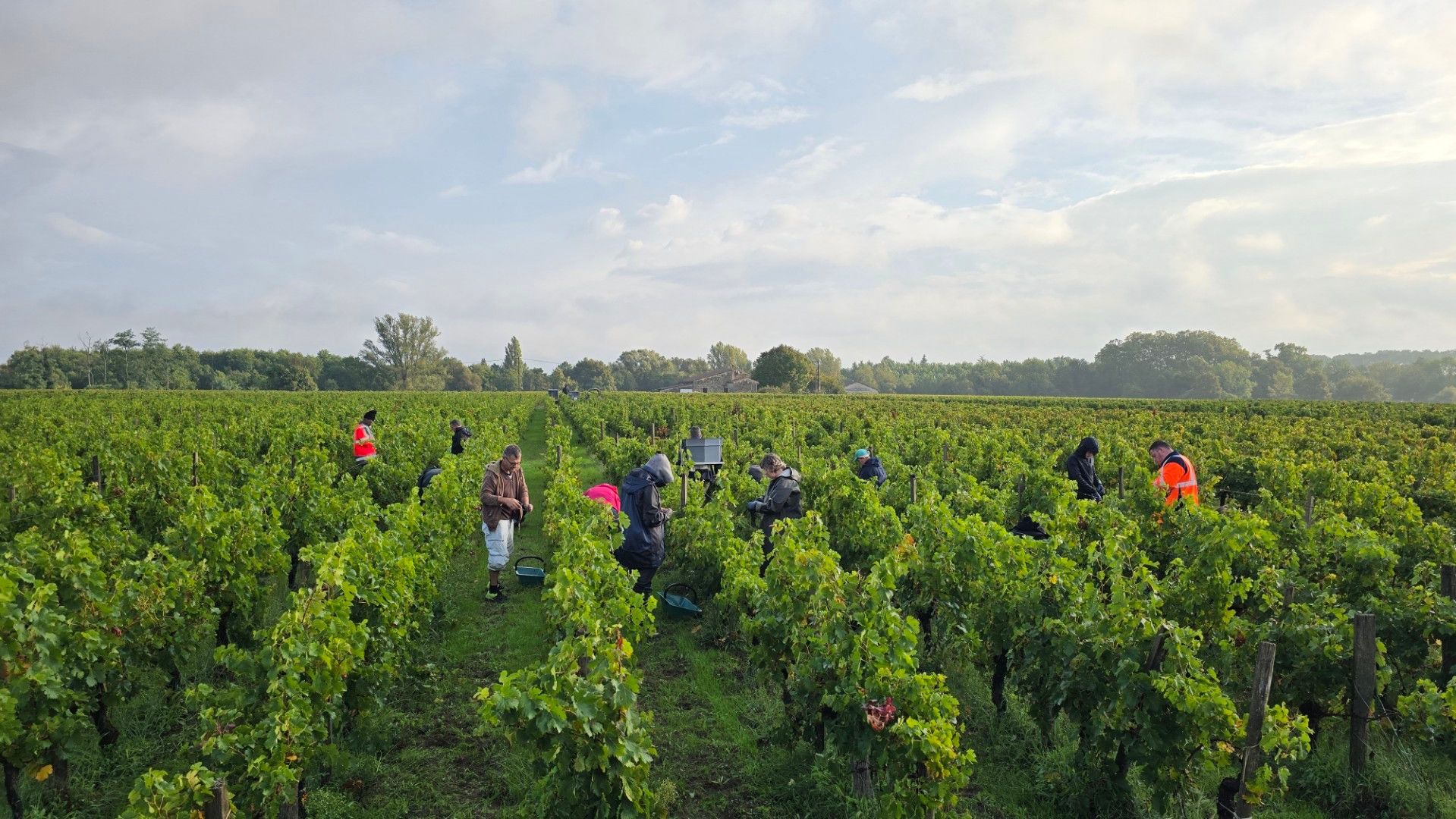 Clos du Pelerin - Pomerol