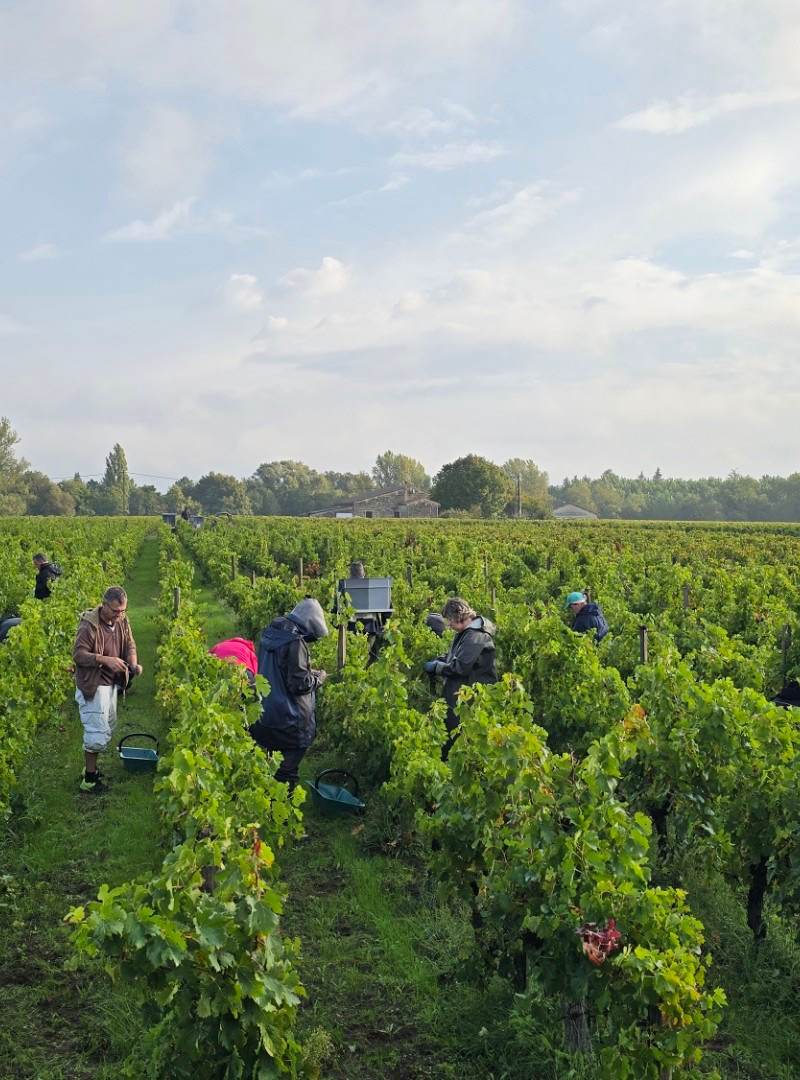 Clos du Pelerin — photo principale