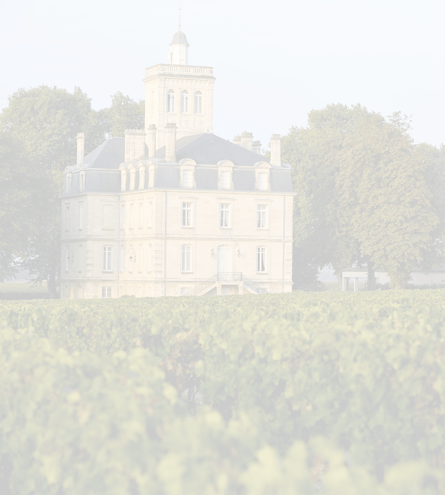 Château Larose Trintaudon — photo 3