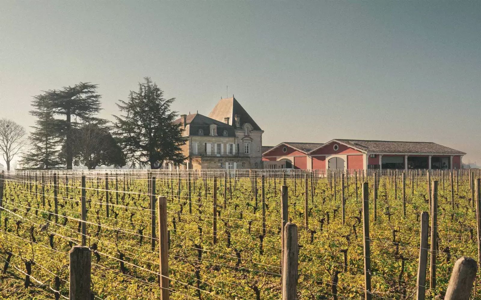 Château l'Évangile - Pomerol