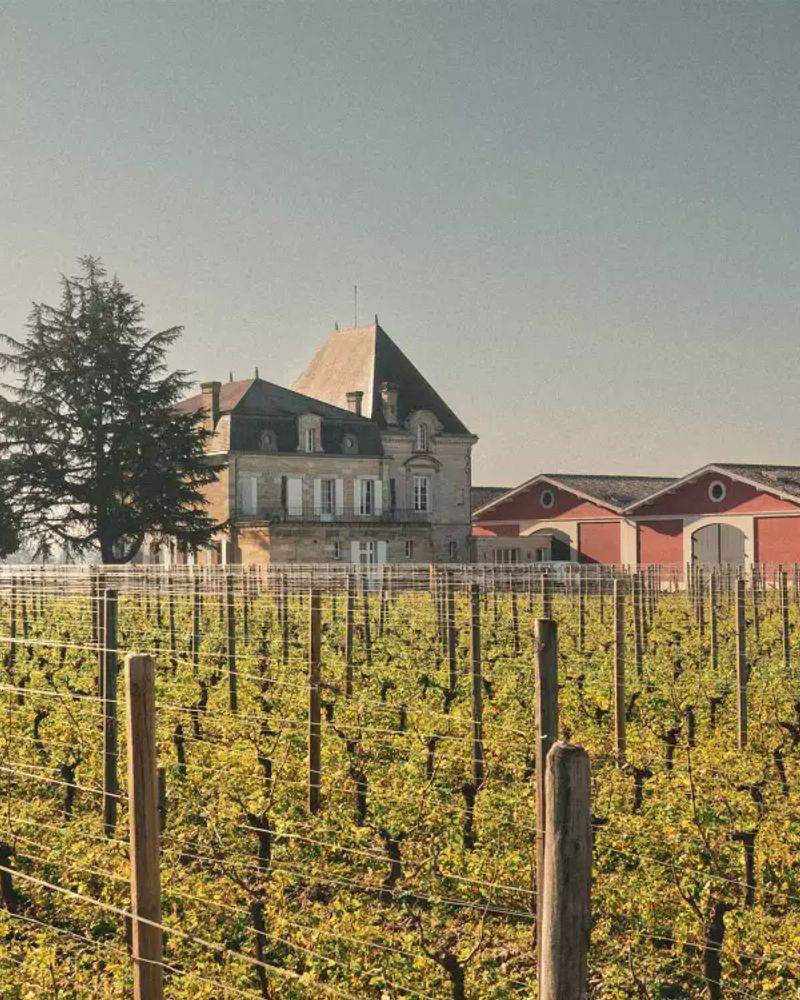 Château l'Évangile — photo principale