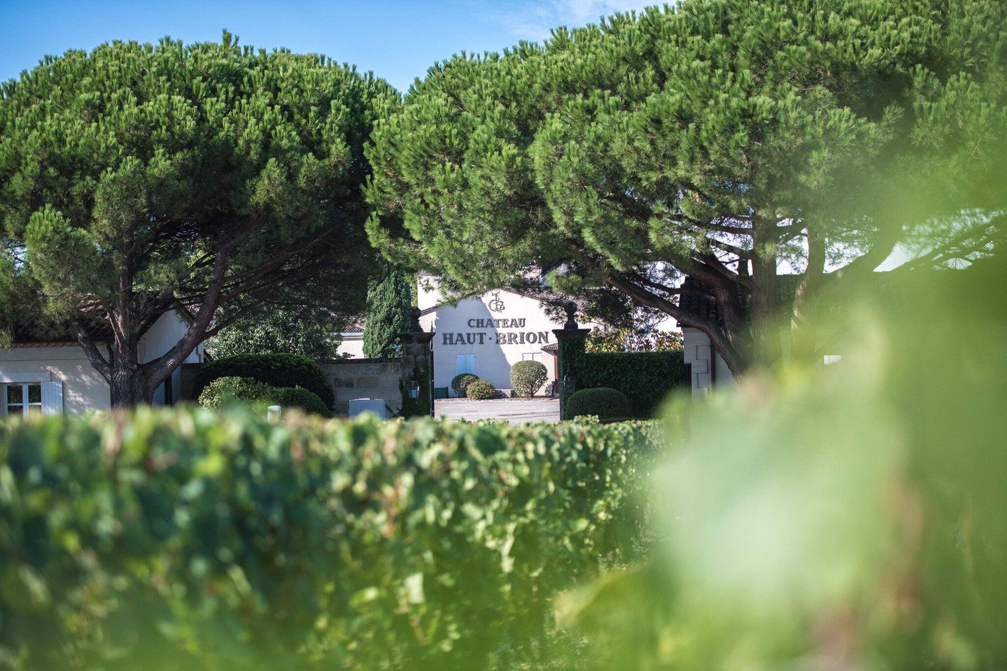 Château Haut-Brion — photo 3