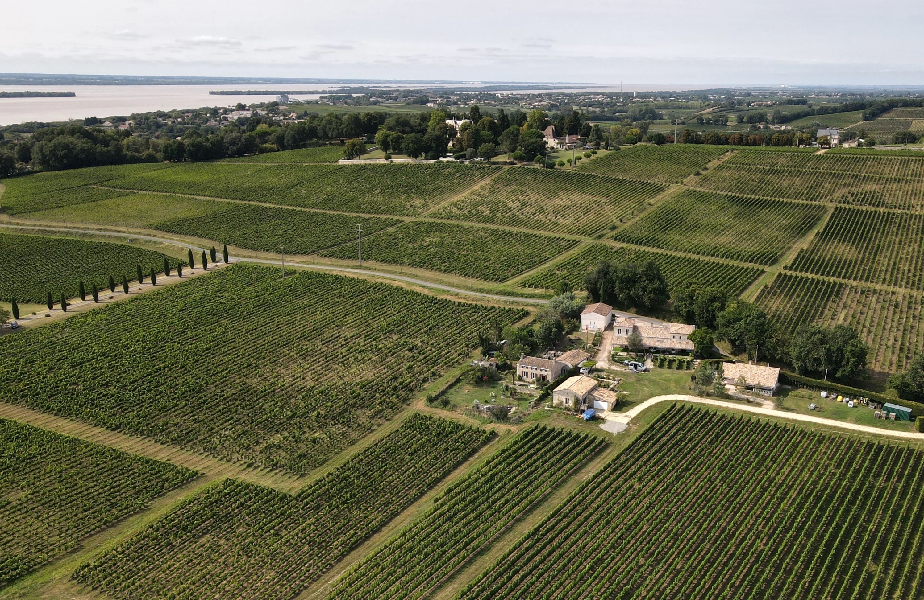 Château Maine Gazin - Blaye Côtes de Bordeaux