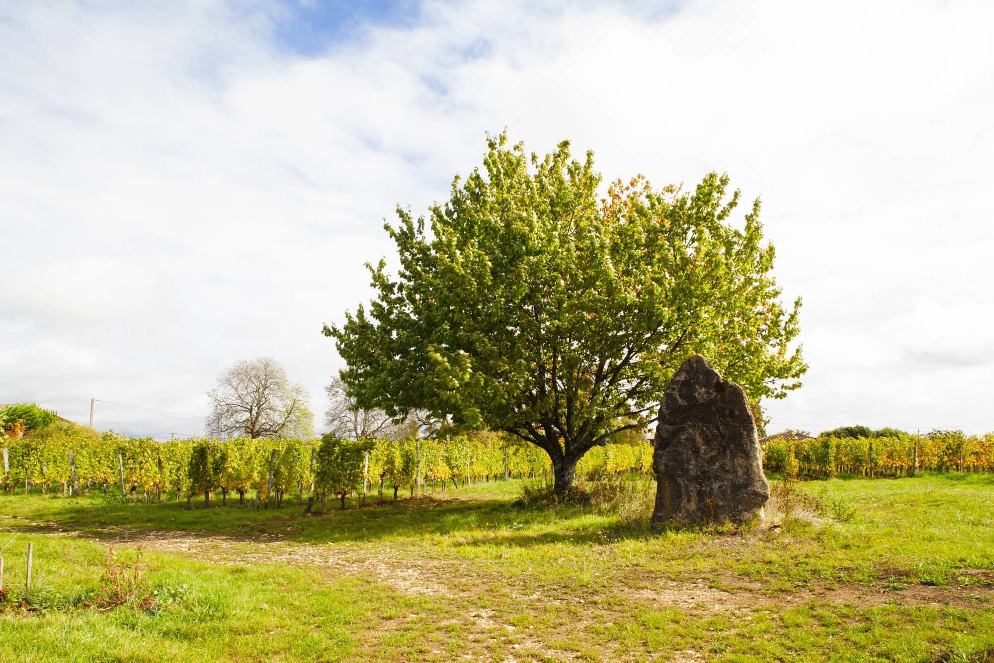 Clos Puy Arnaud — photo 3