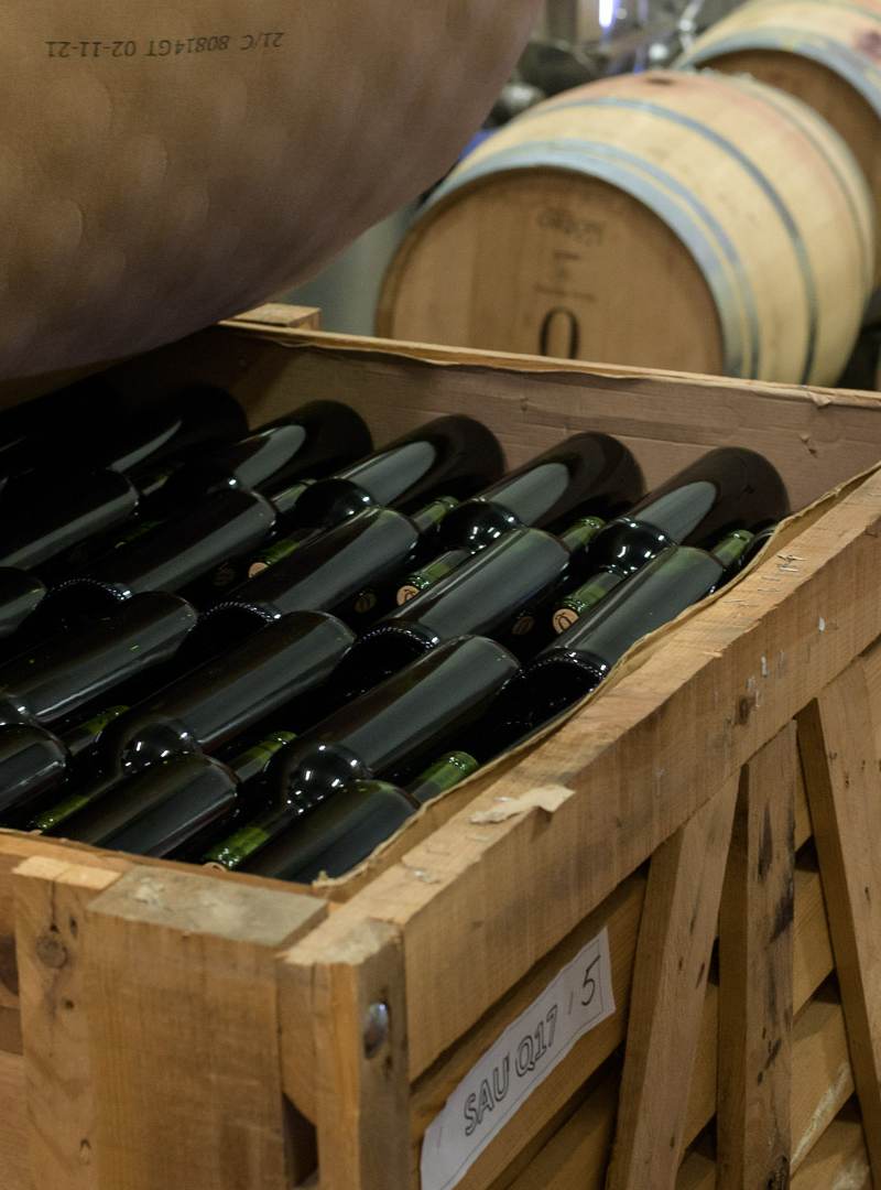 Domaine de Quincarnon - Graves