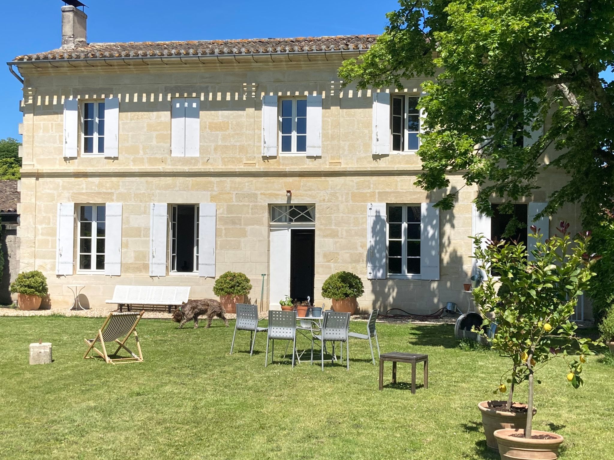 Château Juzan — photo 4