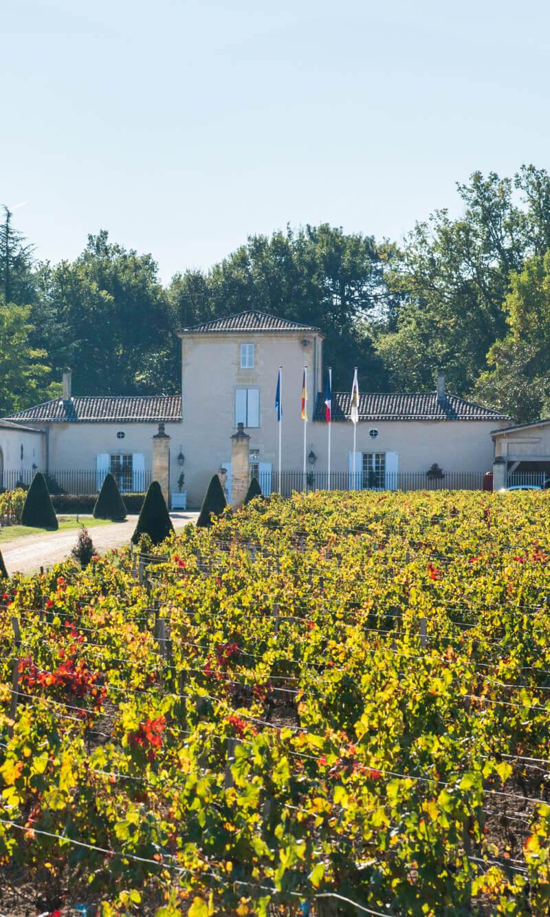 Château du Grand Bos — photo principale