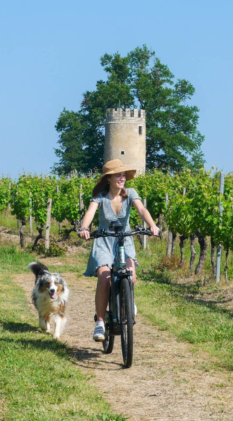Vélo au château Vieille Tour - Romane &amp; Alexandre - Le temps d’un week-end