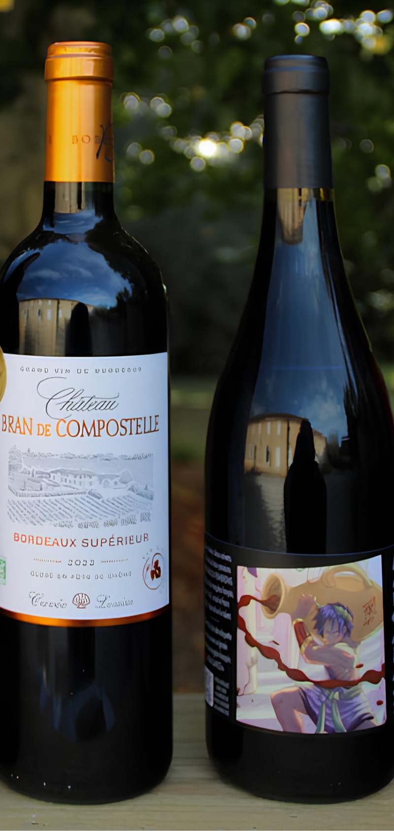 Château Bran de Compostelle — photo principale