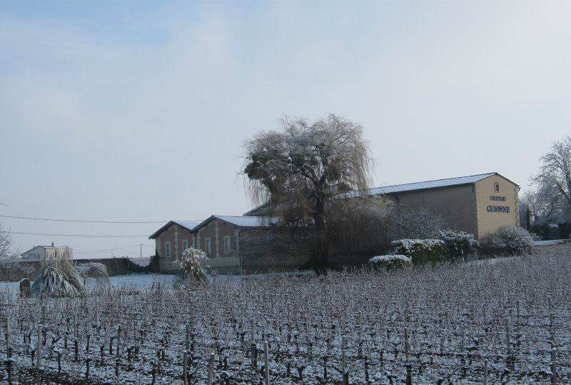 Château Guionne — photo principale