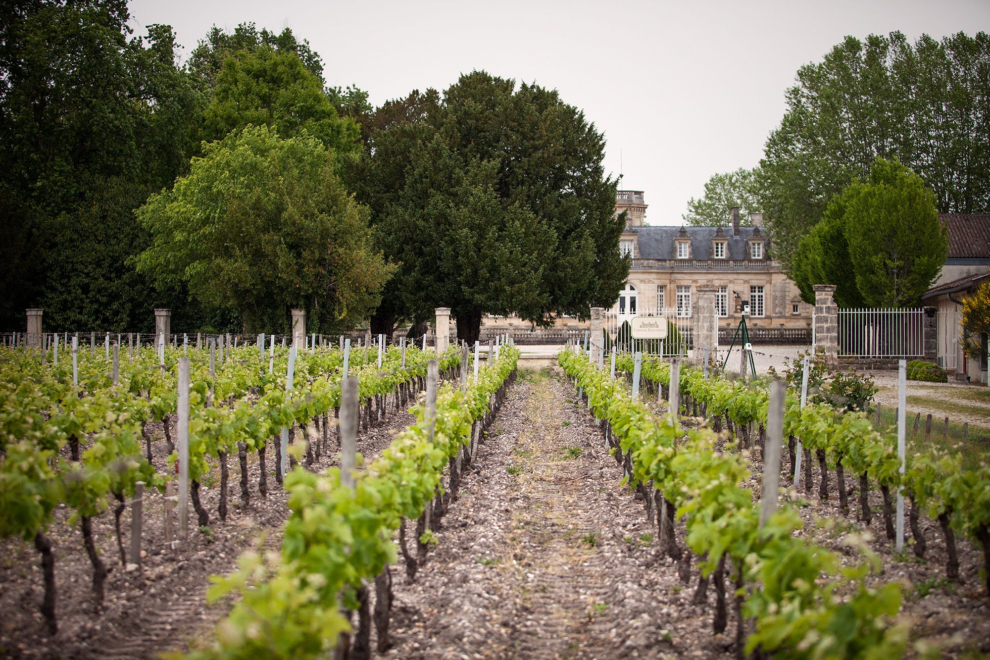 Chateau Beaumont, une viticulture raisonnée