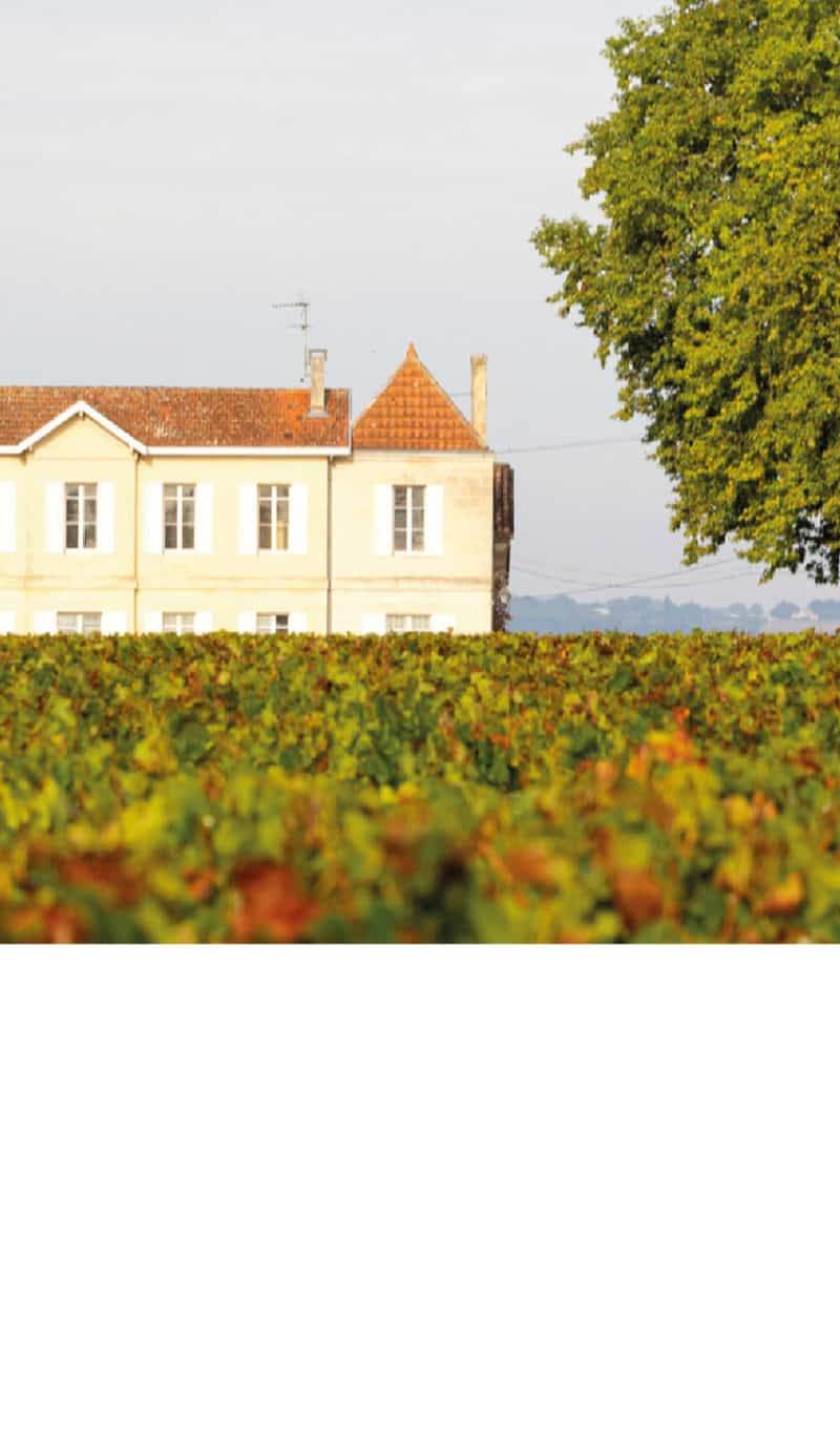 Château la Commanderie — photo principale