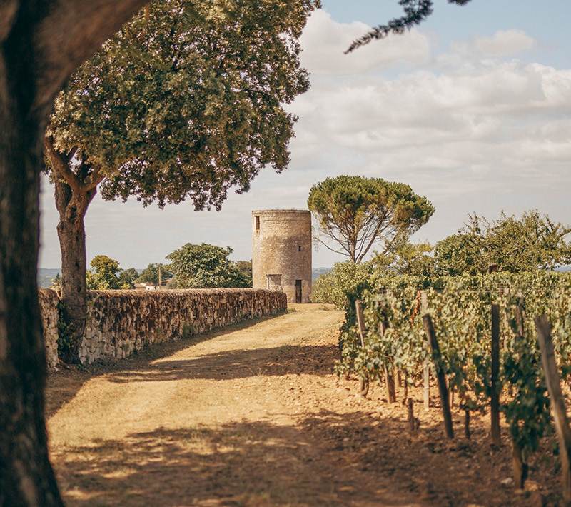 Château Berliquet - Saint-Émilion Grand Cru