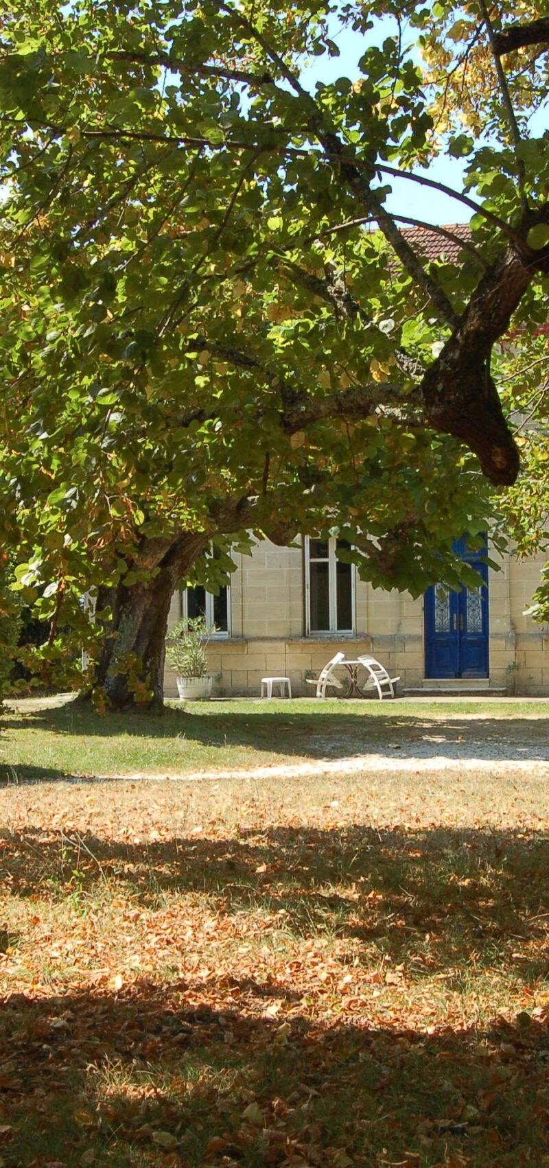 Château Monichot — photo principale
