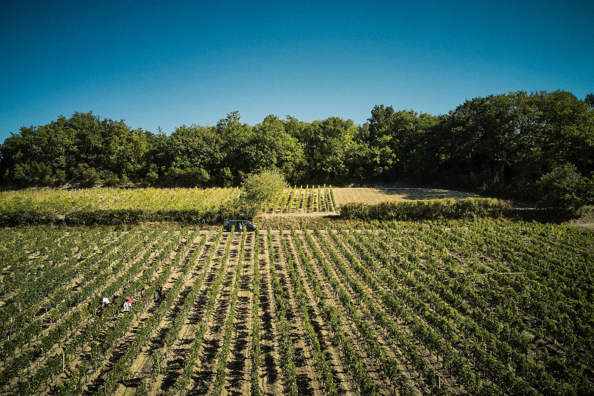 Domaine Baudon — photo 7