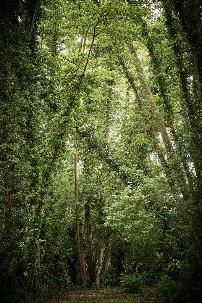 Domaine Baudon — photo 4