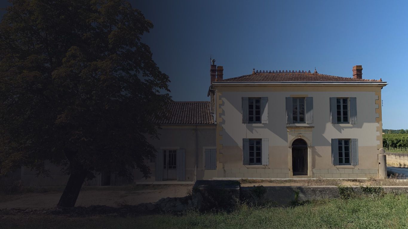 Château Daviaud - Côtes de Bordeaux-Saint-Macaire
