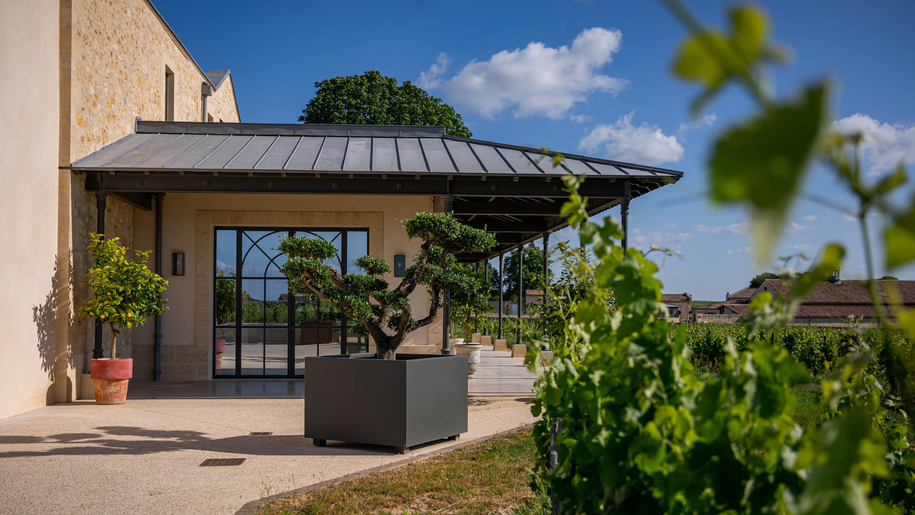 Château Sansonnet