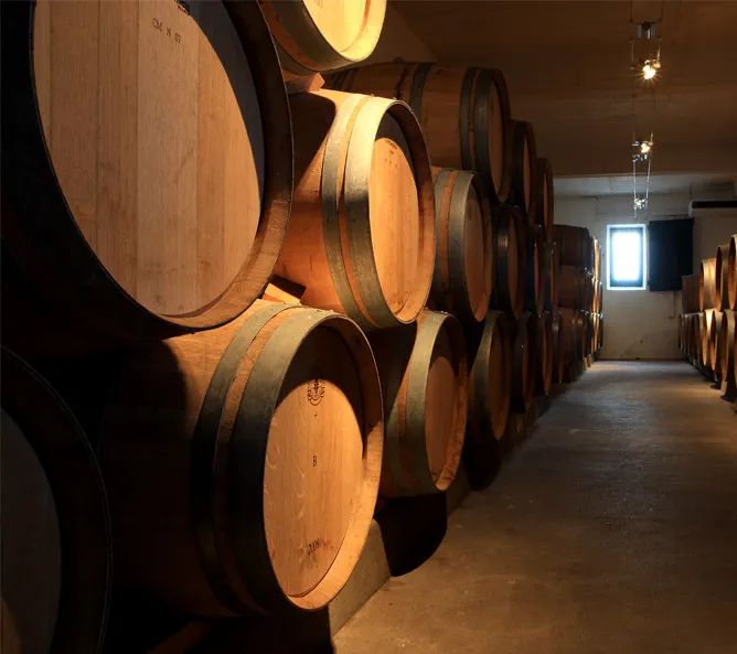 Château Cantegril — photo 7