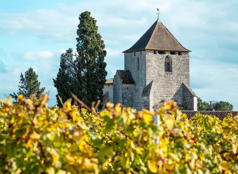 Château de la Craffe — photo 9